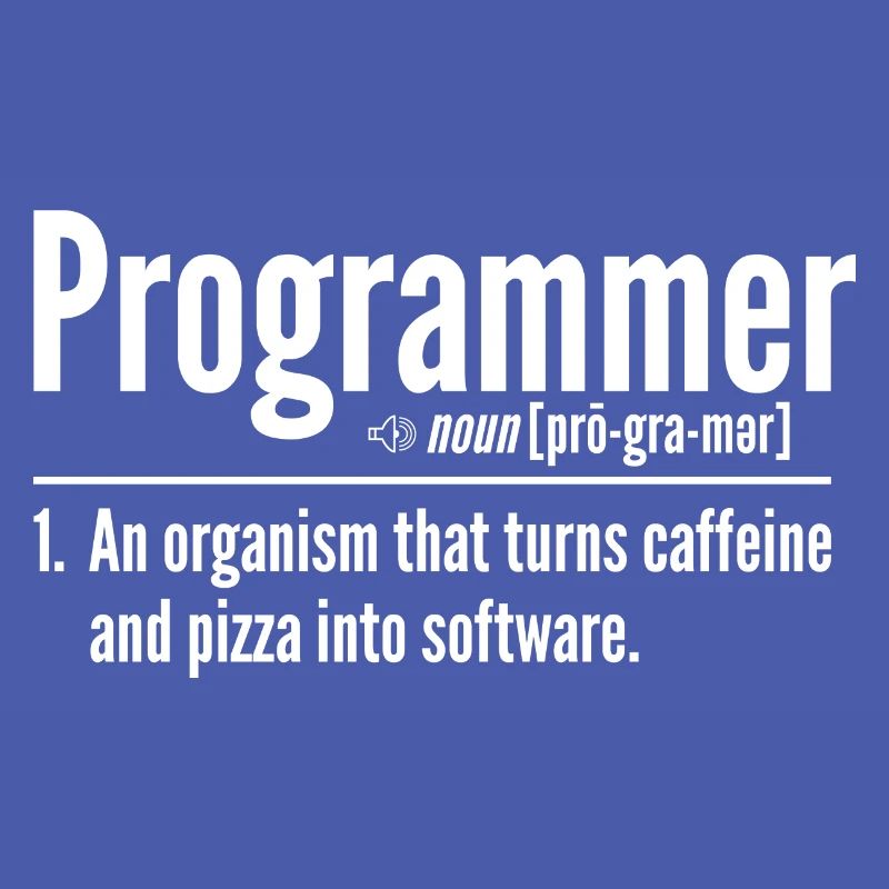 Programmer