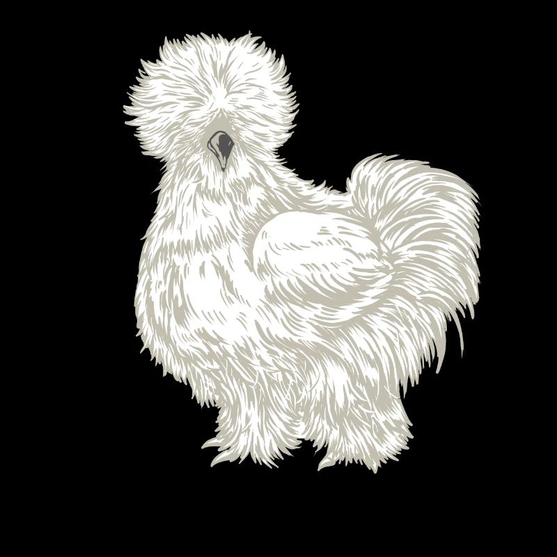 Silk Chicken Drawing
