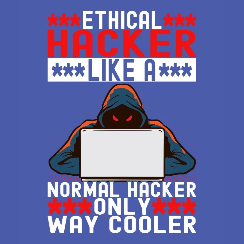Programmeur Cybersécurité