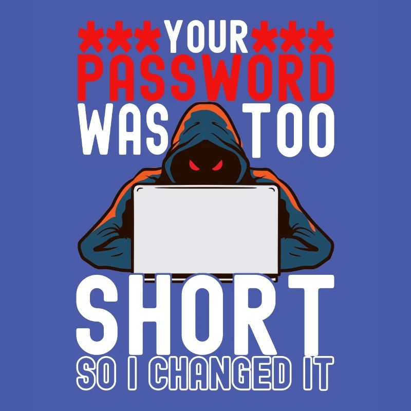 Programmeur Cybersécurité