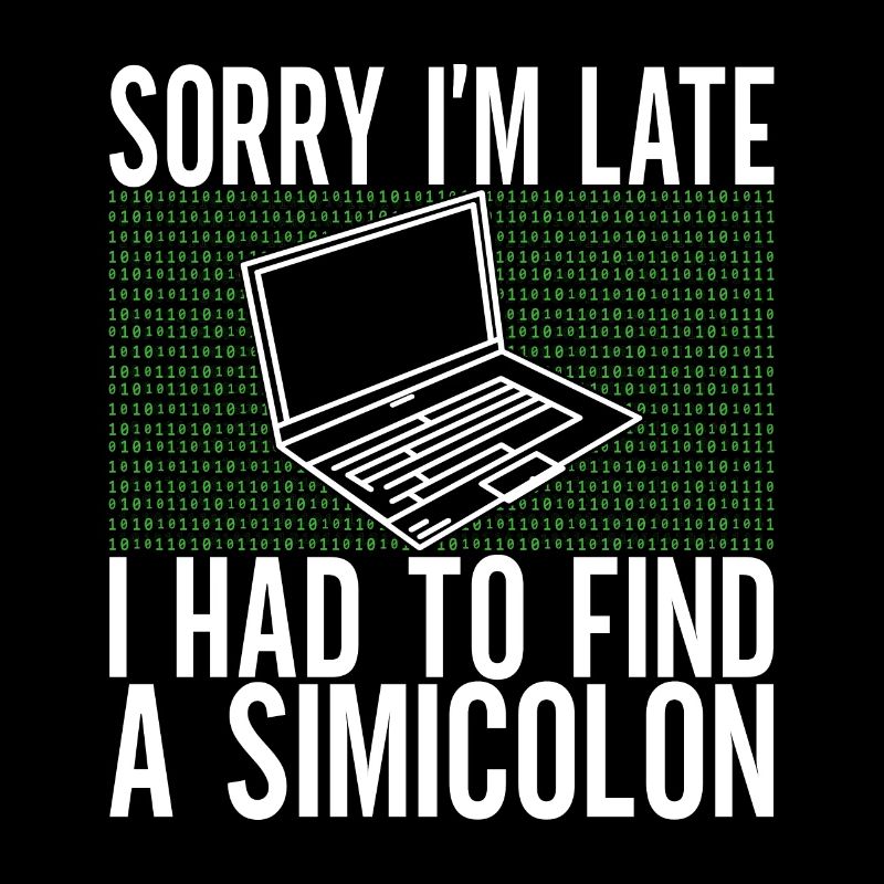 Programmierer Informatiker
