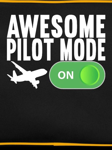 Pilot Flugzeug