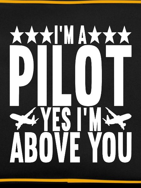 Pilot Flugzeug