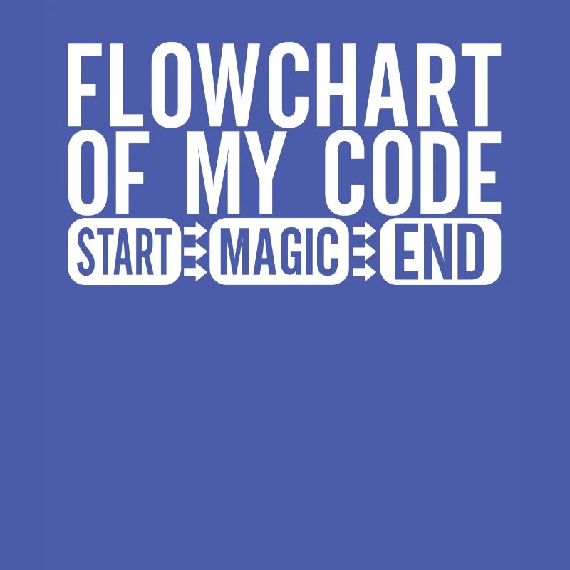 Programmierer Informatiker