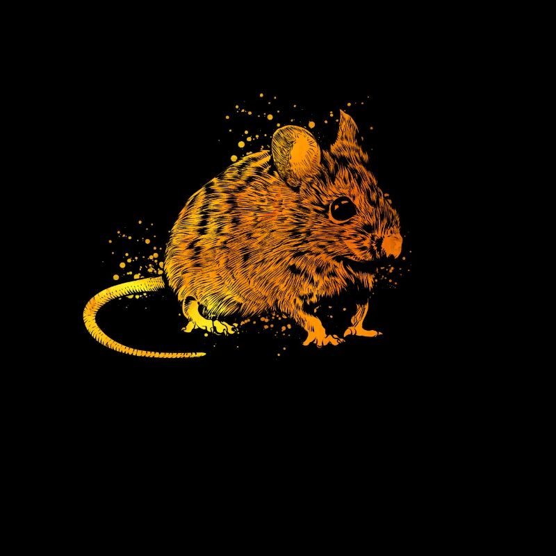 Farbenfrohe Maus