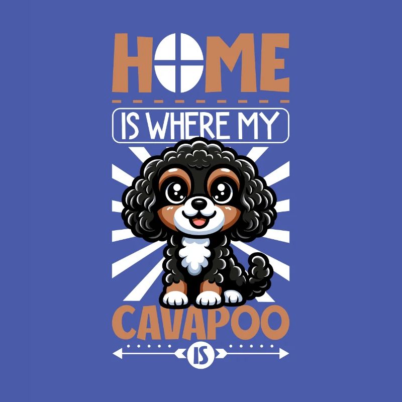 Zuhause - Cavapoo