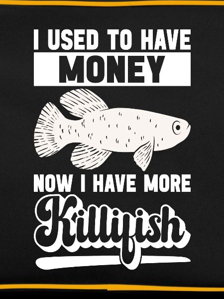 Killifish Quarium Fish