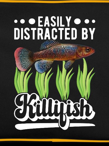 Killifish Quarium Fish