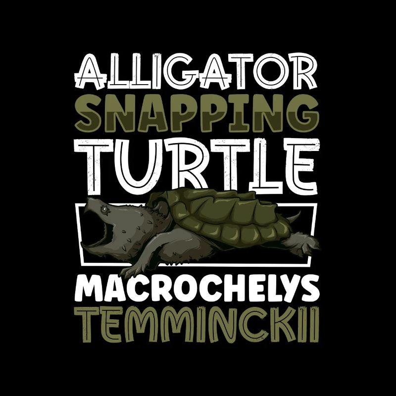 Alligator turtle