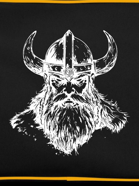 Viking Odin