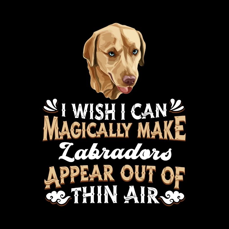 Chien Labrador