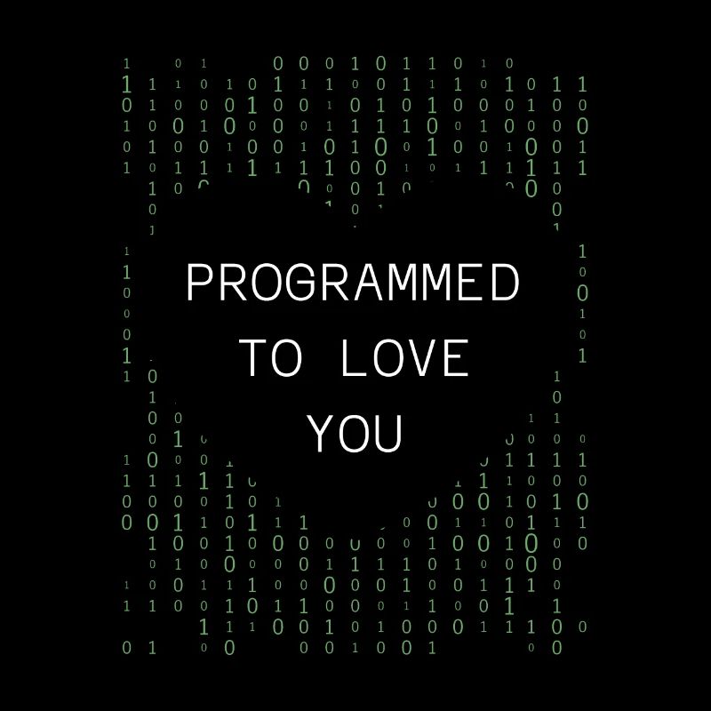 Entwickler Coder Programmierer