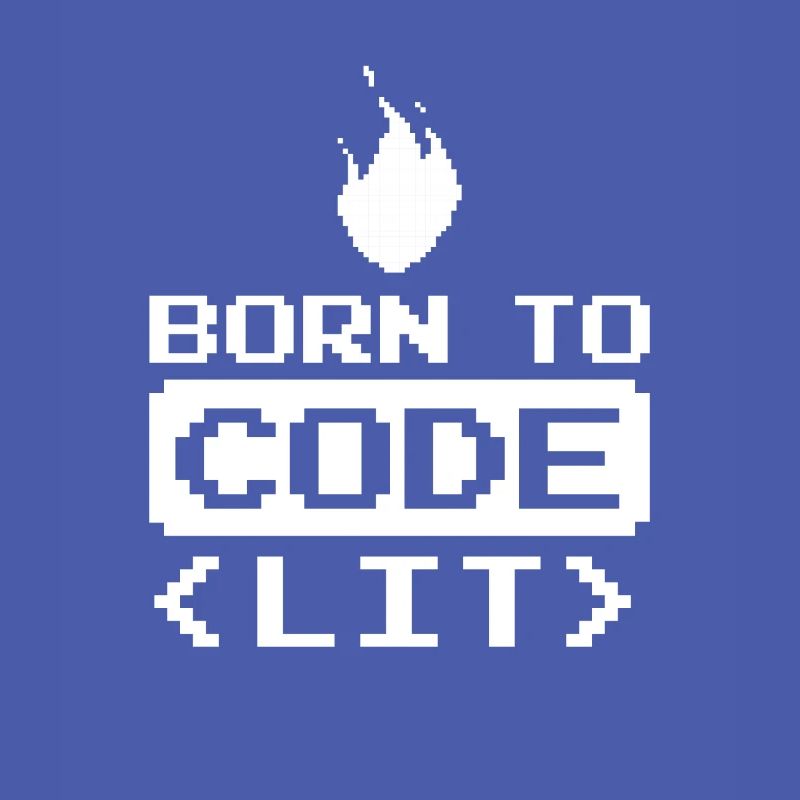 Developer Coder Programmer Funny