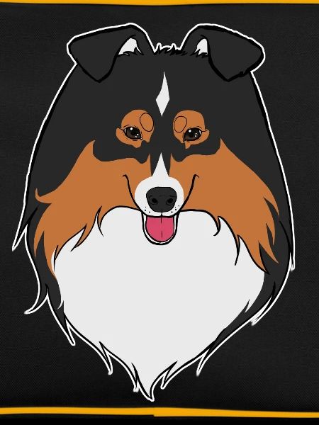 Sheltie black trio