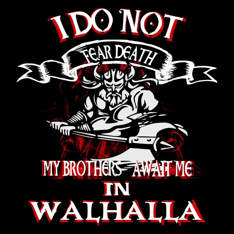 Viking warrior Odin Valhalla Nordic