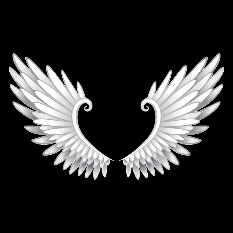 ailes d'anges