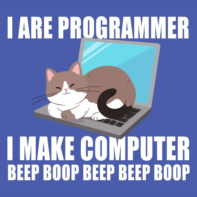 Ich bin Programmierer