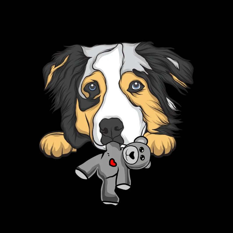 Australian Shepherd