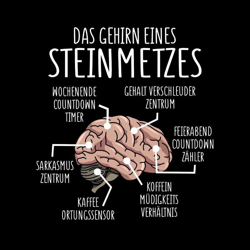 Steinmetz Anatomie