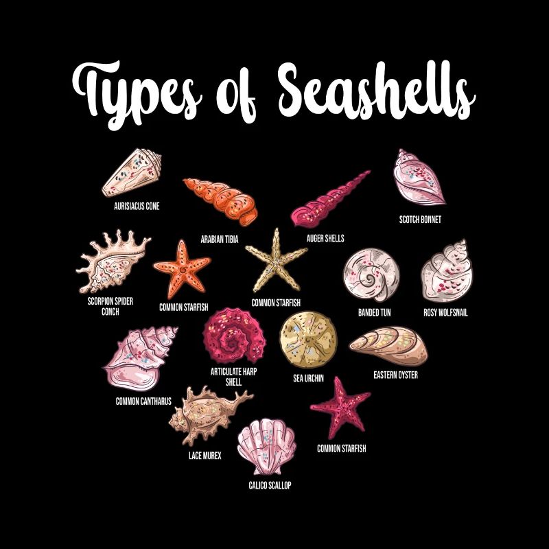 Espèces de moules