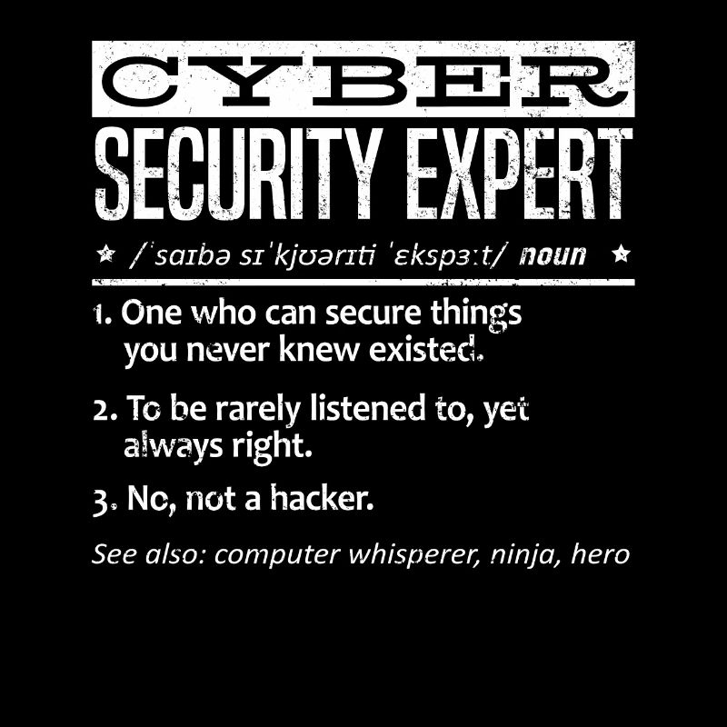 Expert en cybersécurité