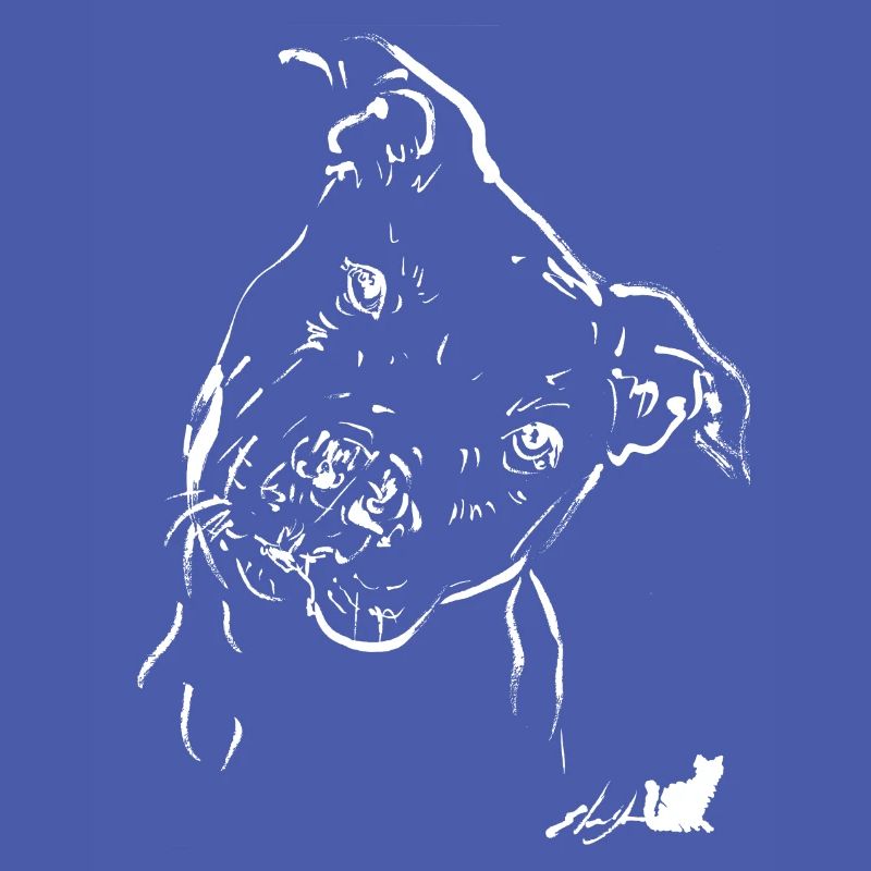 pit-bull blanc