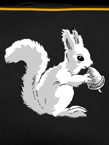Squirrel eats a nut