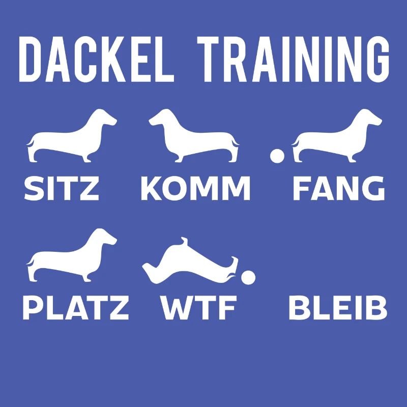 Dackel Training