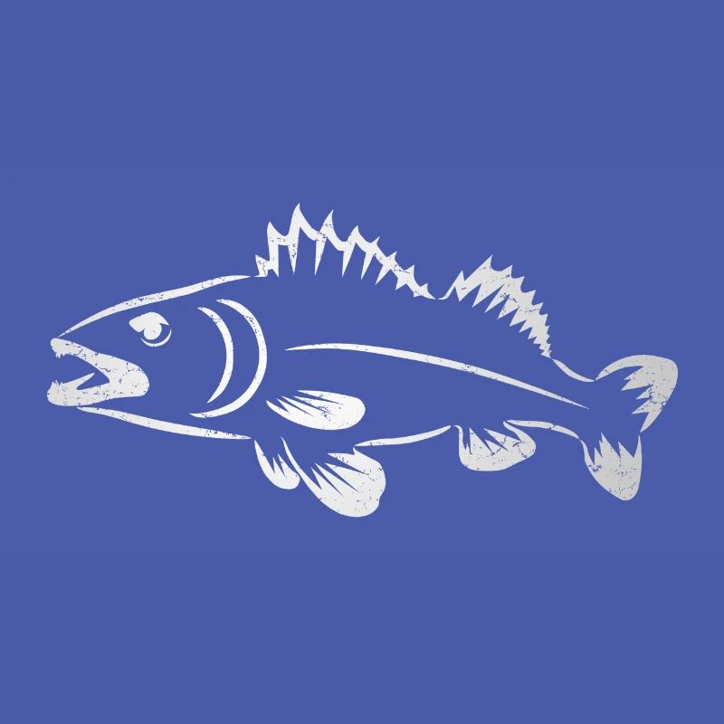 Pikeperch drawing