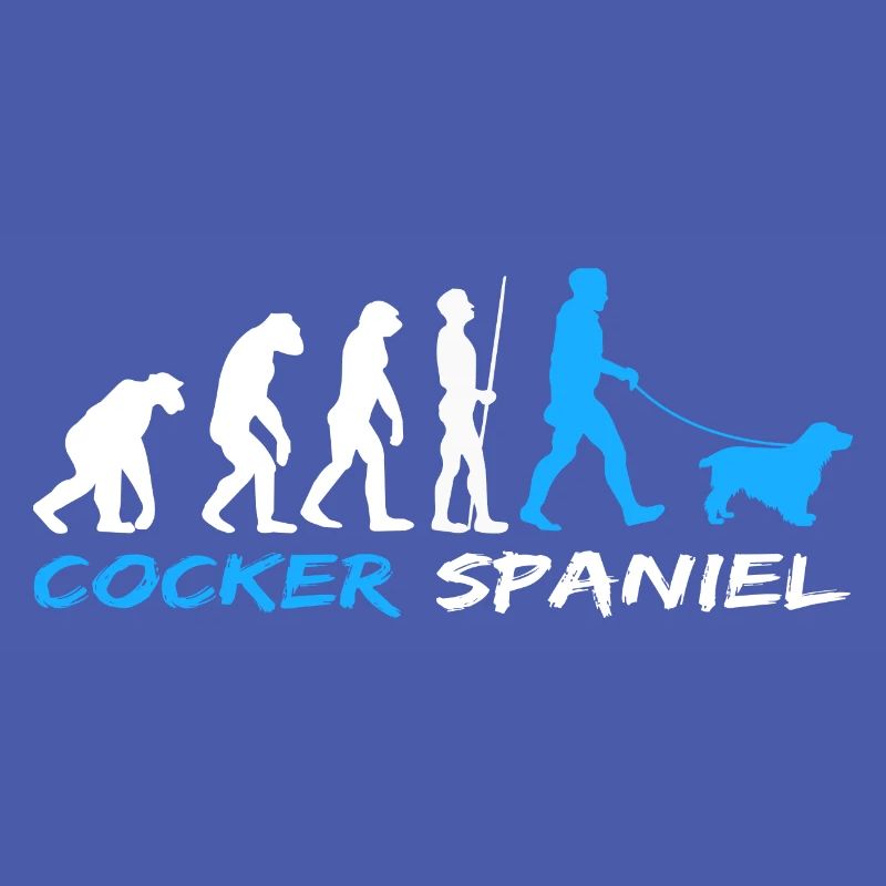 Cocker anglais Cocker Spaniel Chien Evolution