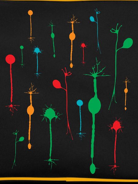 Neurons tetrad