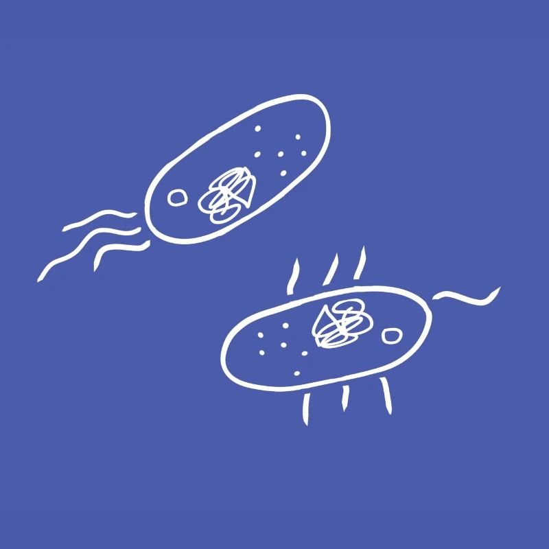 Bactéries Science