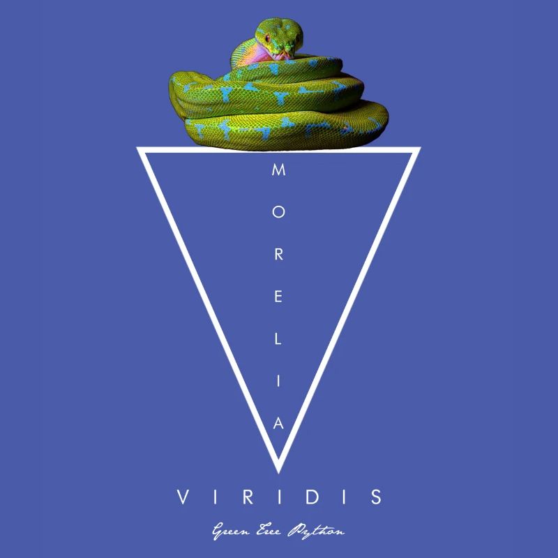 Green Tree Python Modern Geometric