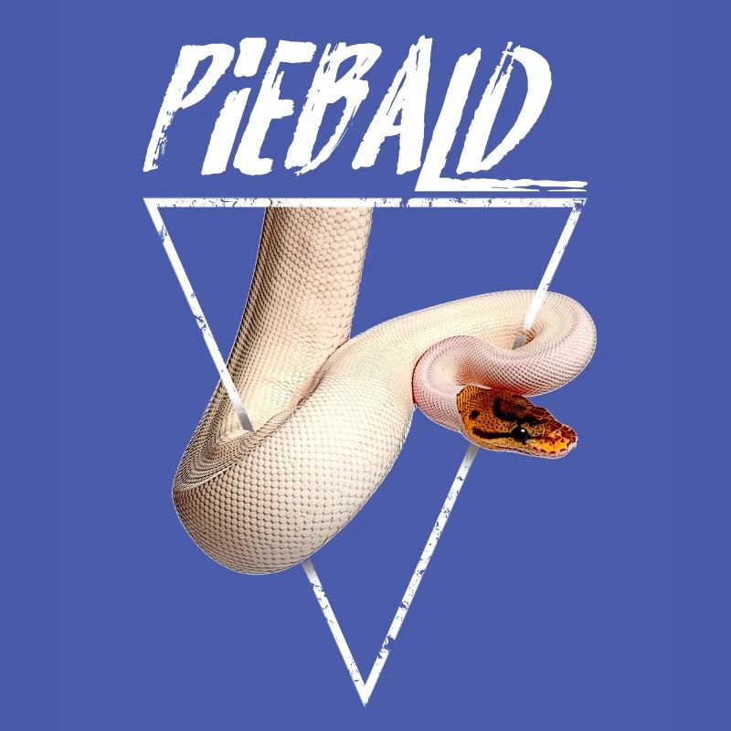 Piebald Ball Python Reptilienpfleger