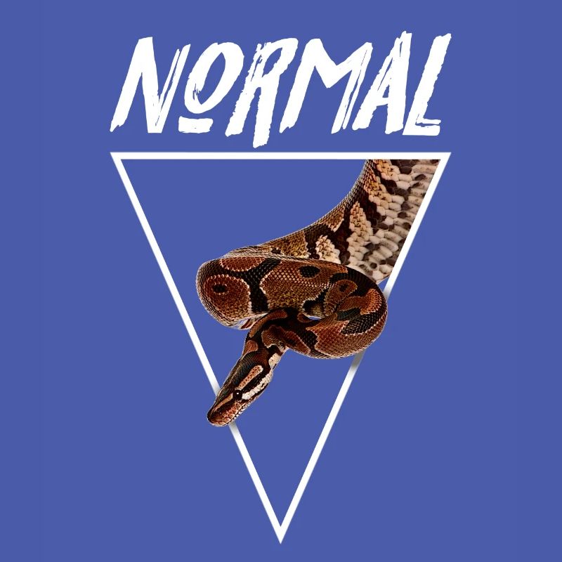 Normaler Ball Python Morph Schlange Besitzer