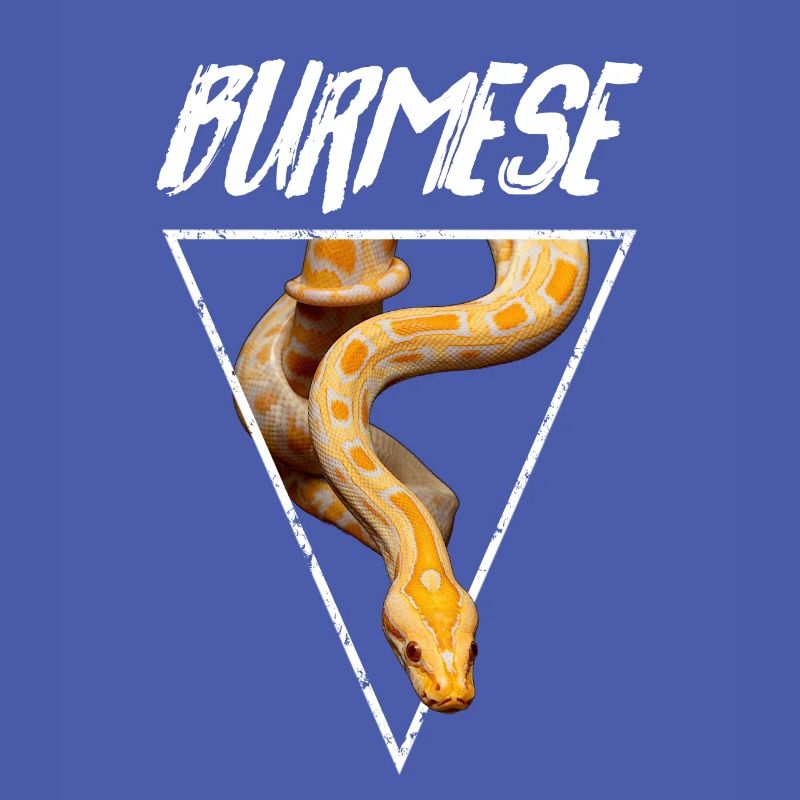 Propriétaire de serpent Python birman