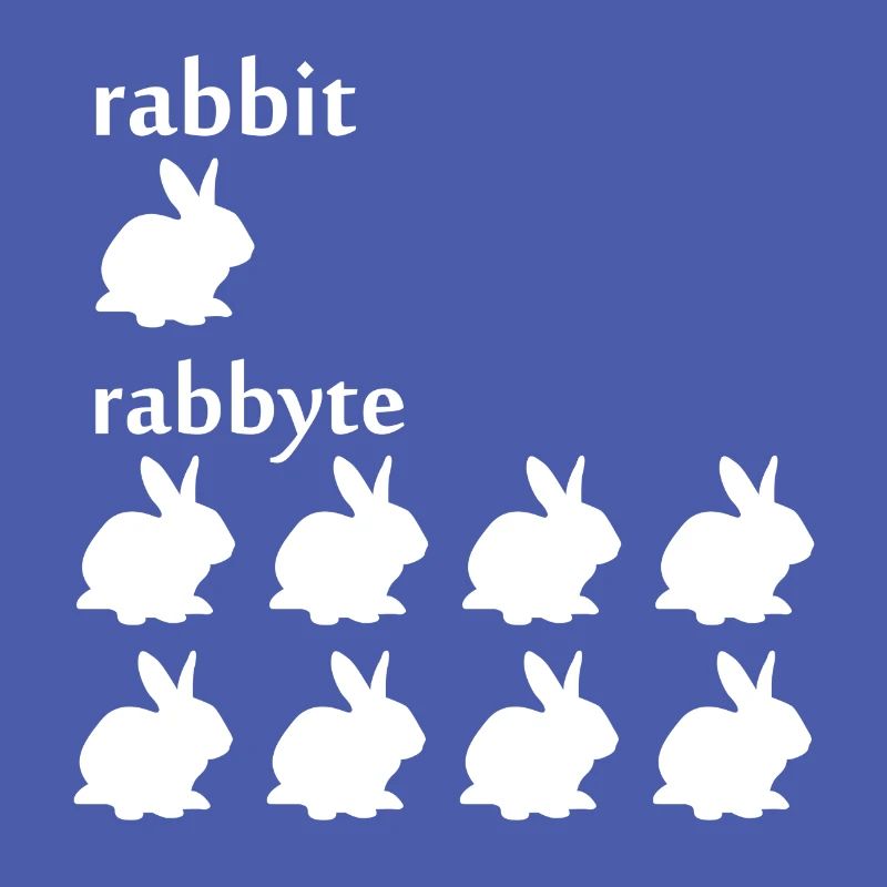 Programmeur informatique cadeau lapin octet