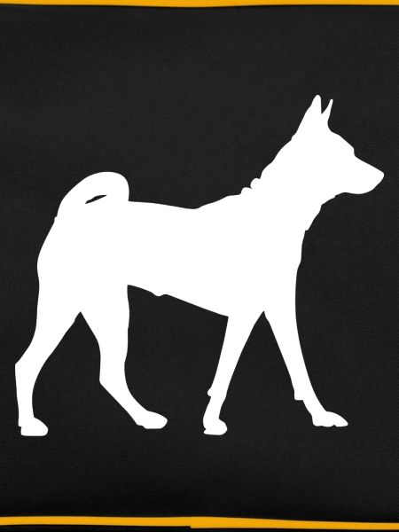 Basenji Dog - Basenji
