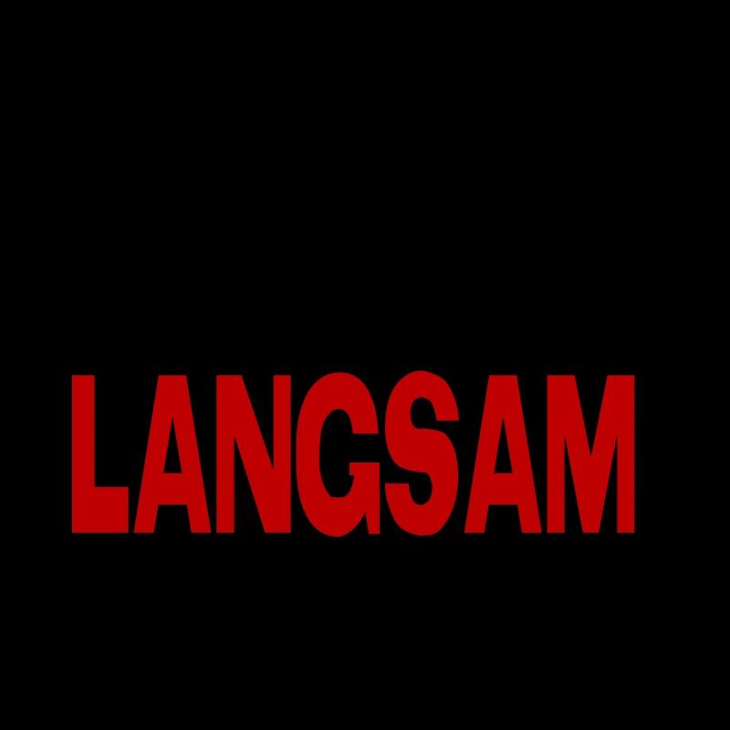 Schnecke Sprüche Ich bin langsam