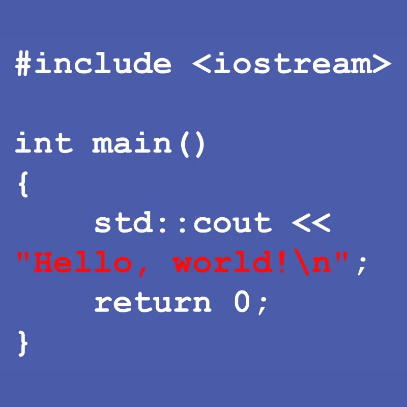 Programmer Coder Software Developer