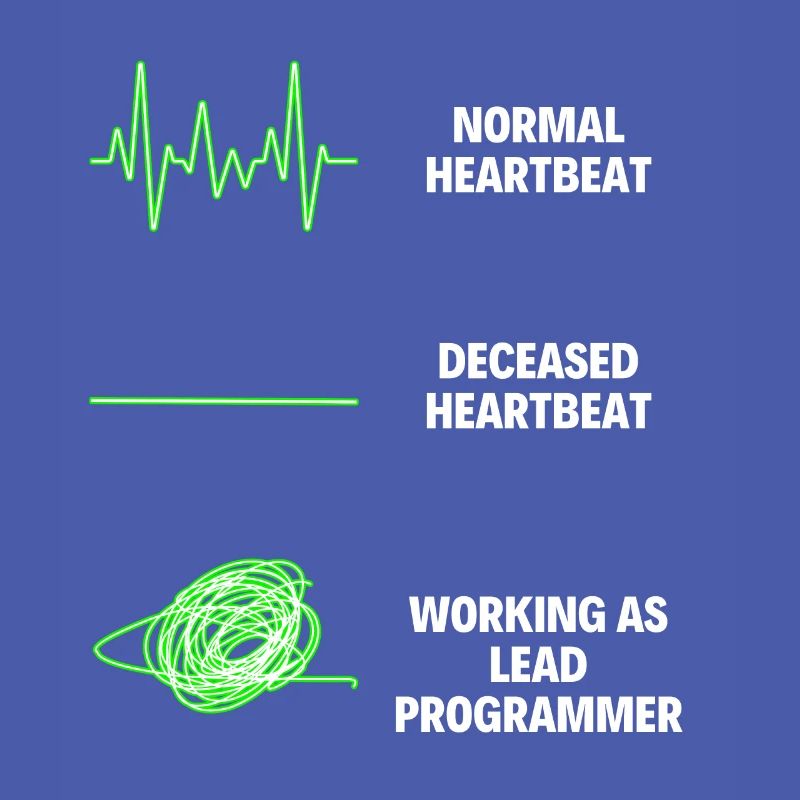 Lead Programmer Worker Funny Programmer