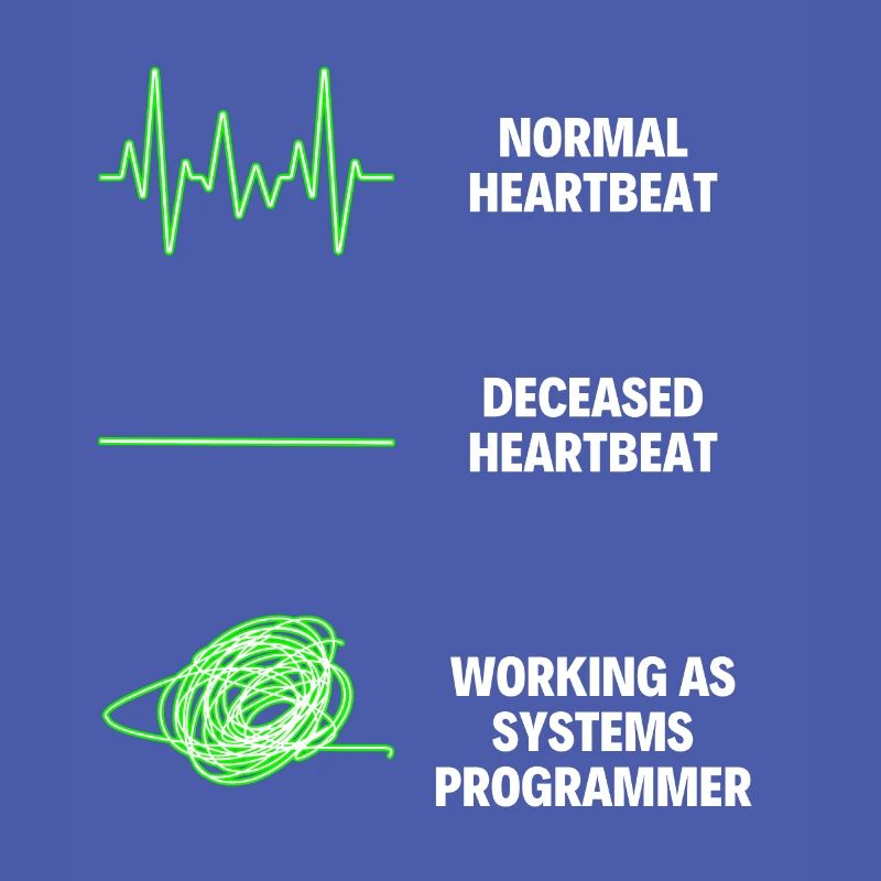 System Programmer Funny System Worker Programmers