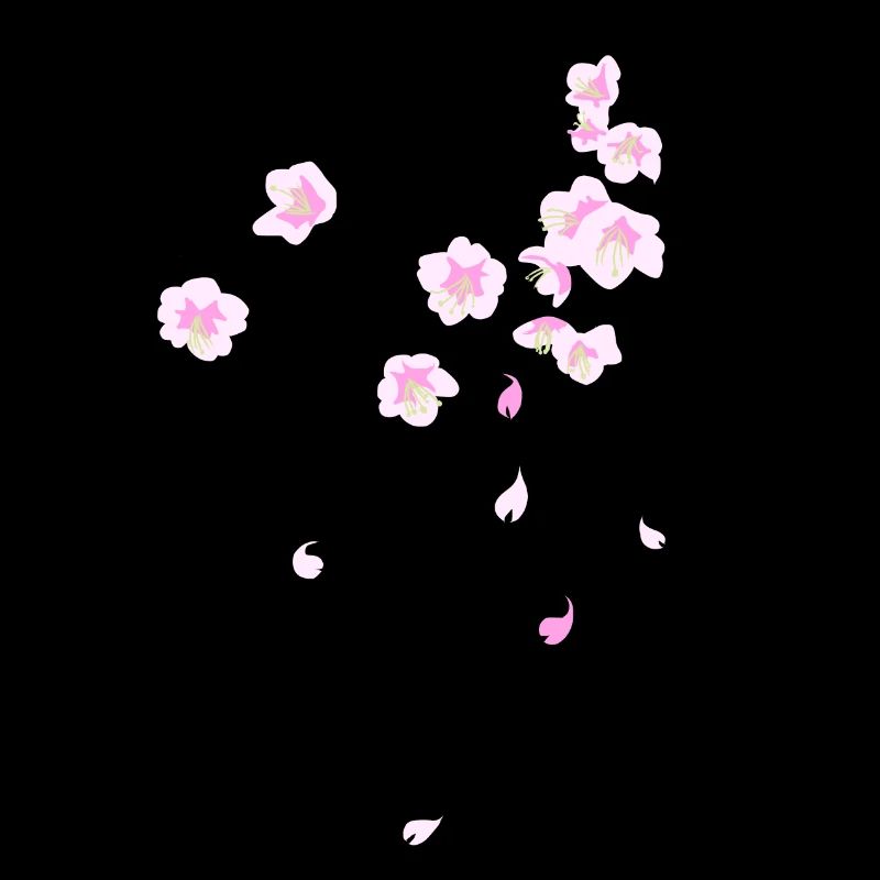 Cherry Blossoms