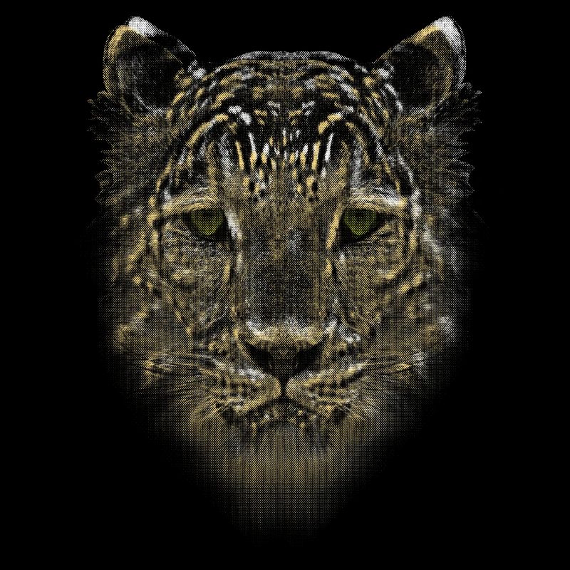LEOPARD