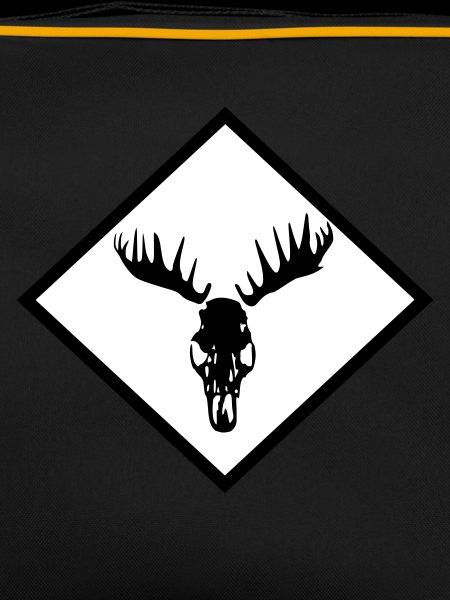 Moose Skull