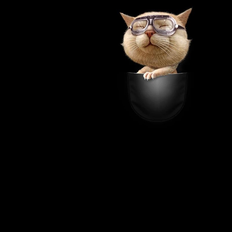 POCKET GOGGLE CAT