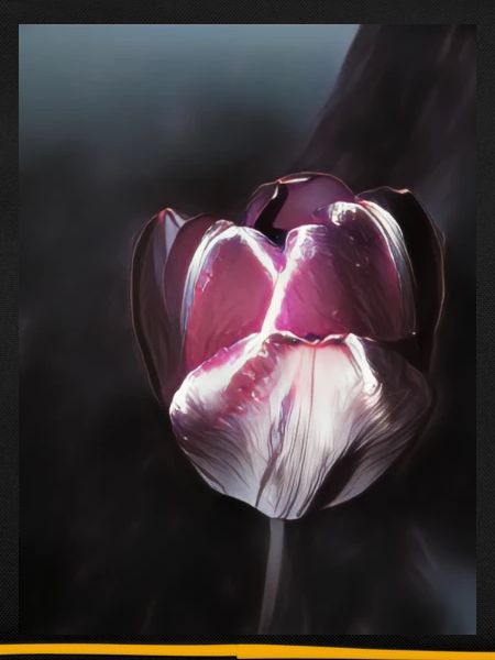 Tulpe comic