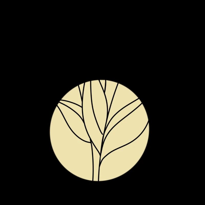 Fleur avec cercle jaune