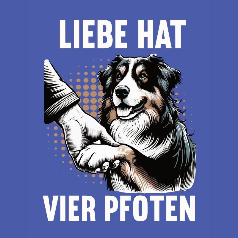 Liebe hat Vier Pfoten Australian Shepherd Aussie