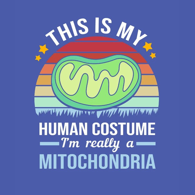 Molecule Structural Formula